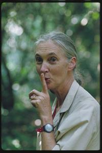 Jane Goodall