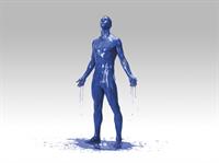 Fernando José Torres Sanz