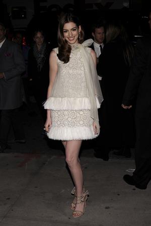 Anne Hathaway Love & Other Drugs screening at the DGA Theater in New York City on November 16, 2010