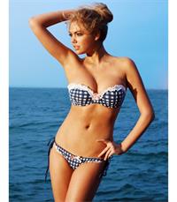Kate Upton in a bikini