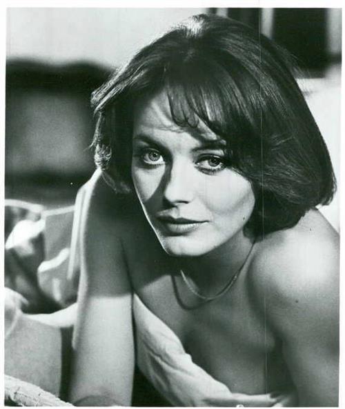 Lesley-Anne Down