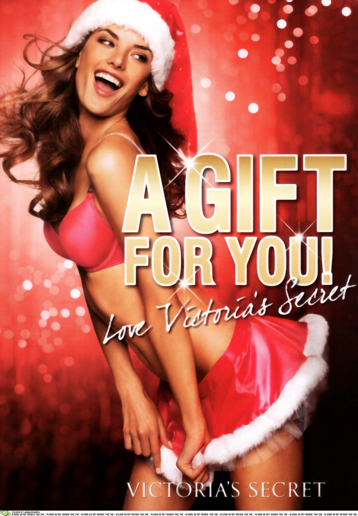 Alessandra Ambrosio in lingerie