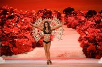 Alessandra Ambrosio in lingerie