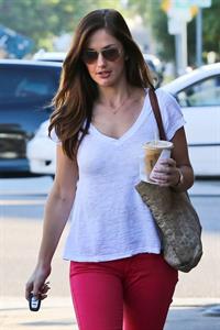Minka Kelly