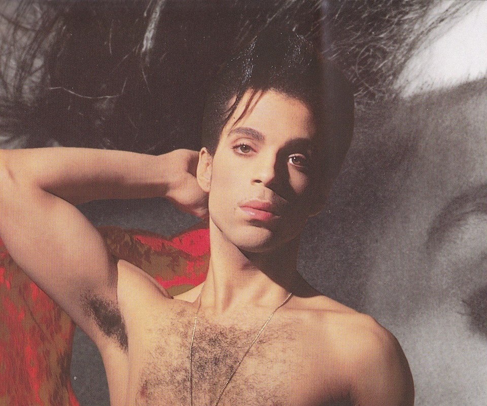 Prince Sexy Gif