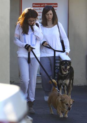 Selena Gomez taking her dogs to a Veterinary Clinic in Encino, November 24, 2012 