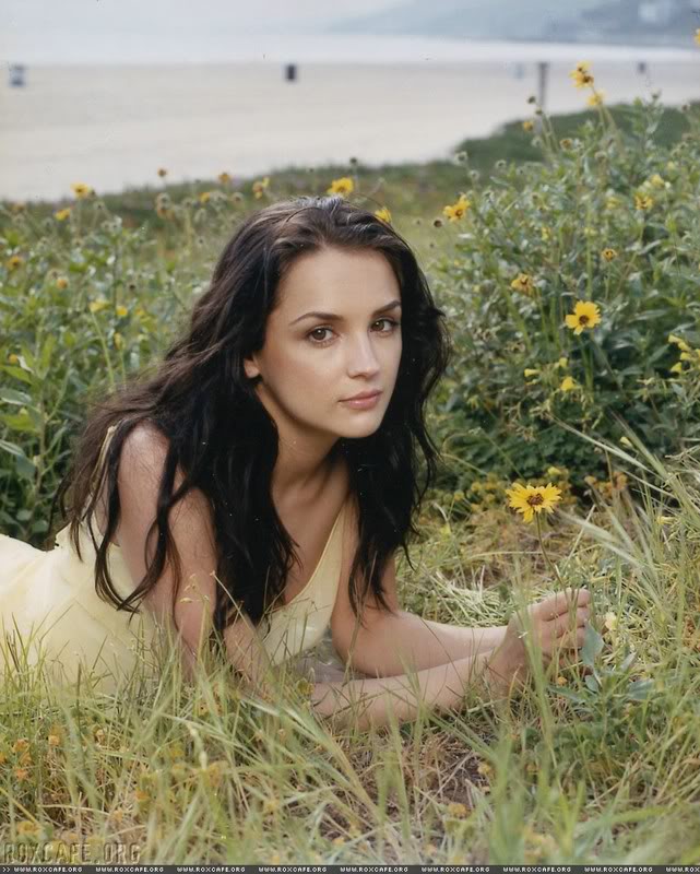 Rachael Leigh Cook