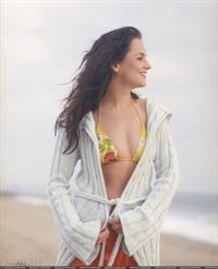 Rachael Leigh Cook in a bikini