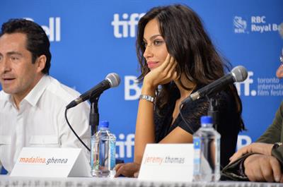 Mădălina Diana Ghenea