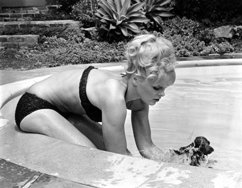 Elke Sommer in a bikini