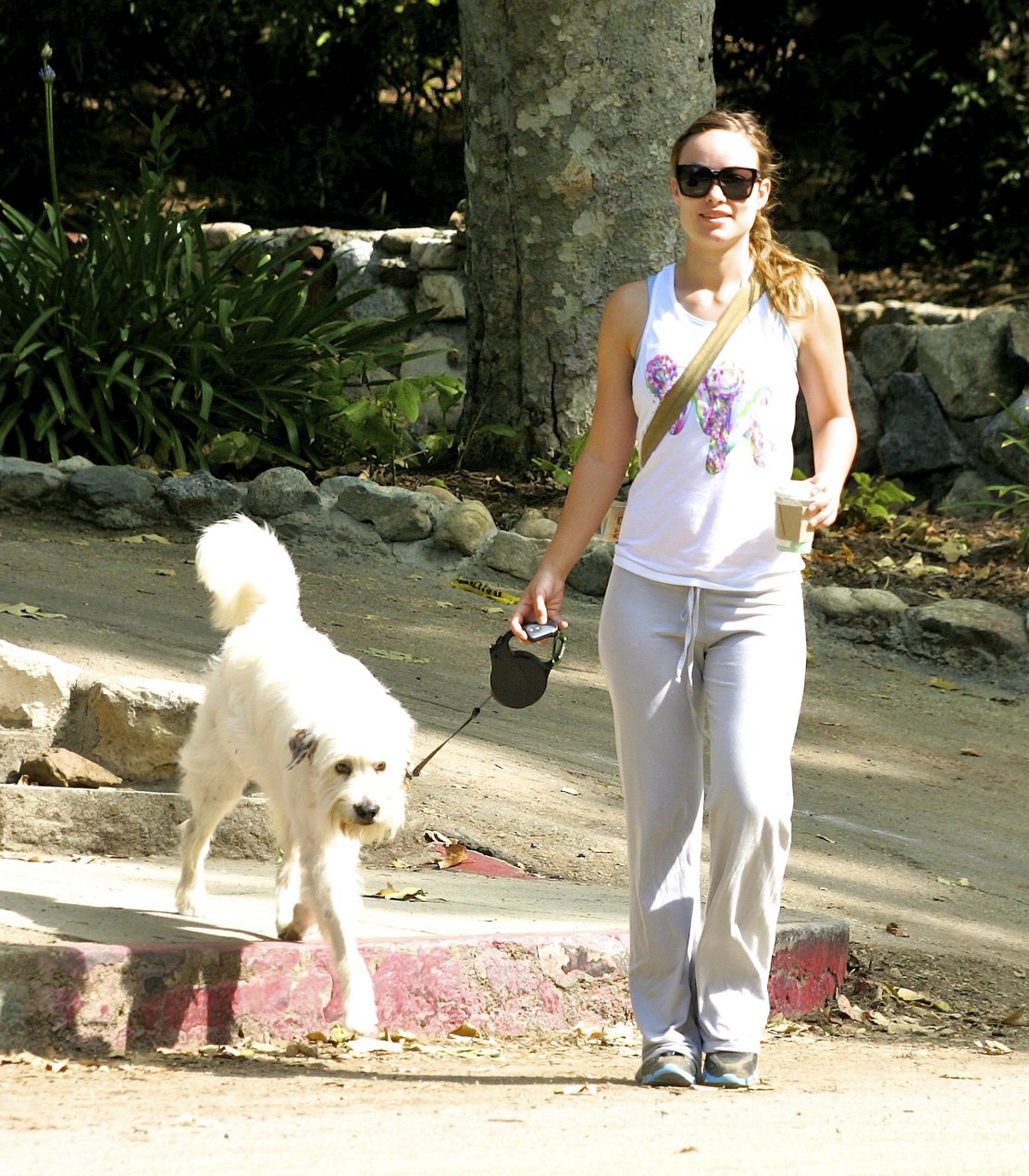 Olivia Wilde walking her dog in the Hollywood Hills on June 24, 2011