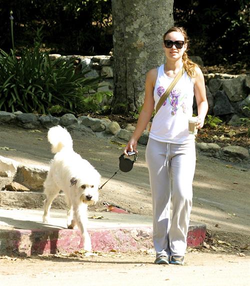 Olivia Wilde walking her dog in the Hollywood Hills on June 24, 2011
