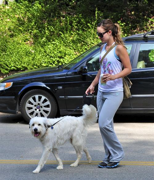 Olivia Wilde walking her dog in the Hollywood Hills on June 24, 2011
