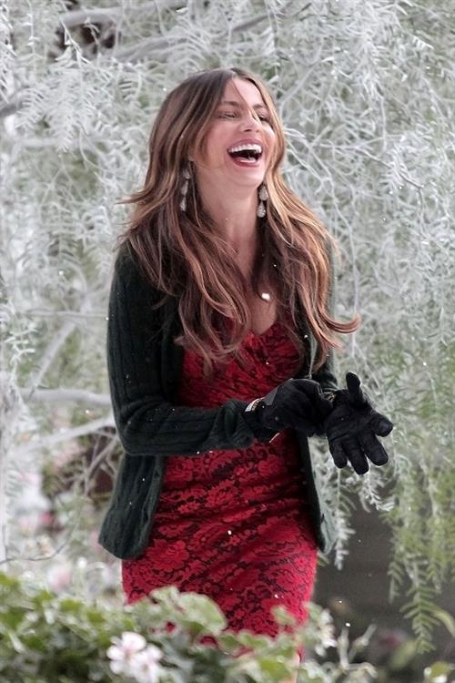 Sofia Vergara