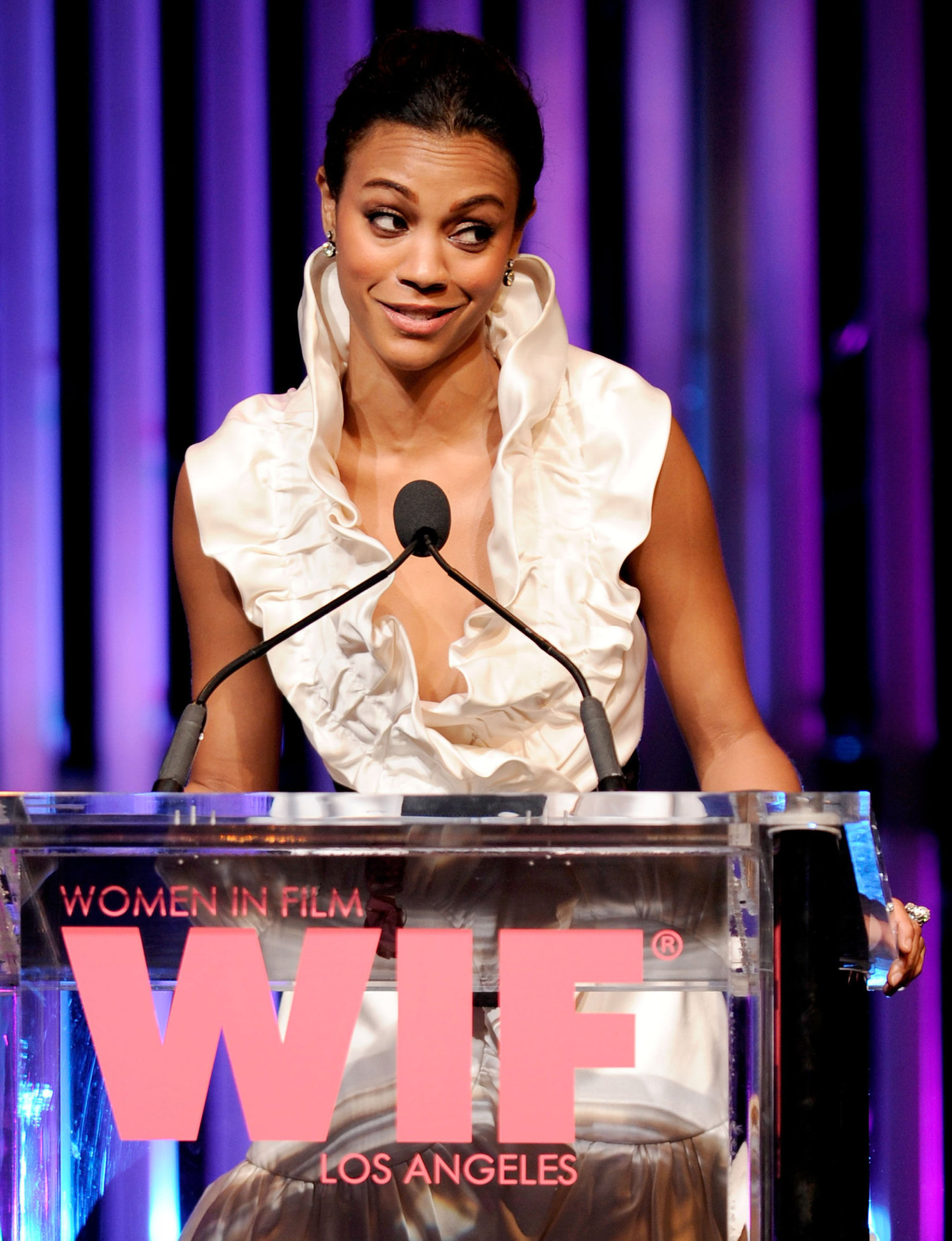 Zoe Saldana - 2010 Women In Film Crystal & Lucy Awards: A New Era - June 1, 2010