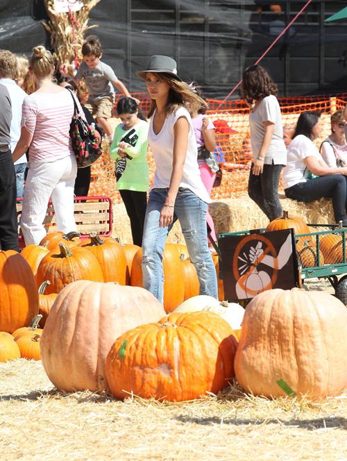 Jessica Alba – at Mr Bones Pumpkin Patch 10/12/13  