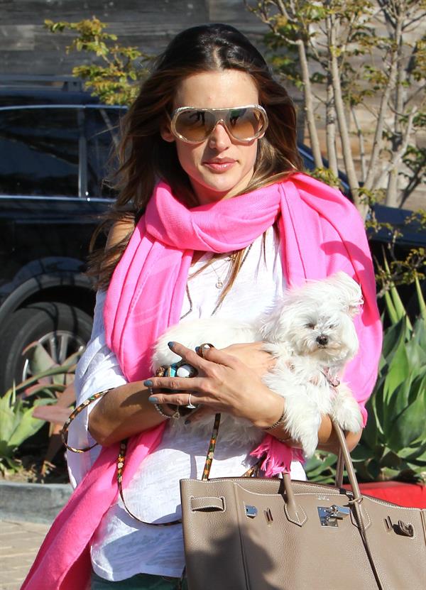 Alessandra Ambrosio at the Country Mart in Malibu on May 28, 2011