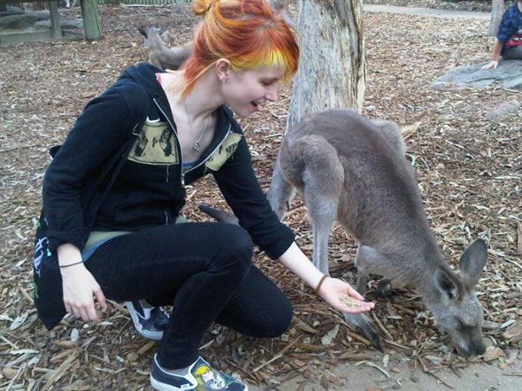 Hayley Williams