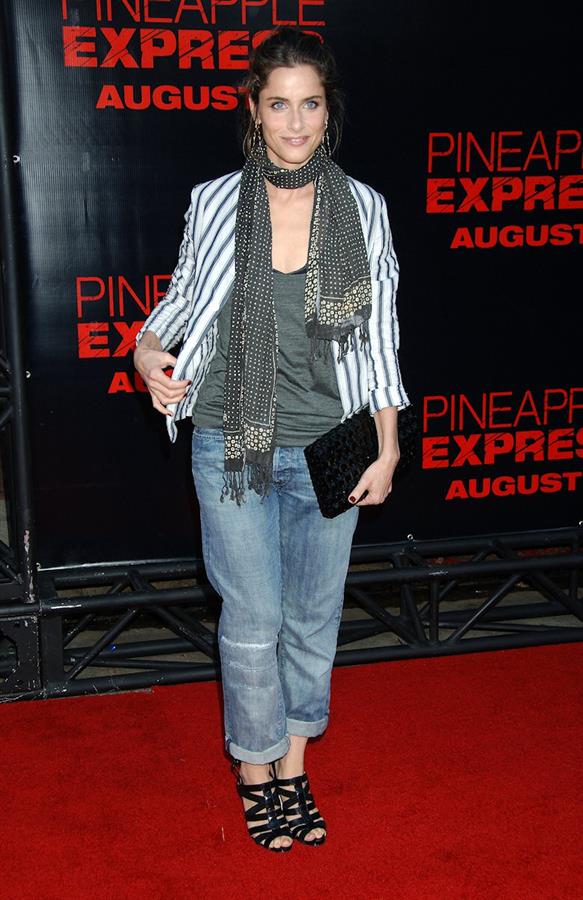 Amanda Peet at the Pineapple Express premiere in Westwood 