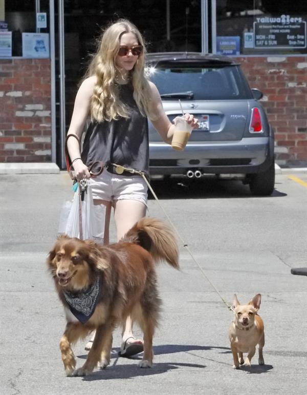 Amanda Seyfried at The Oaks Gourmet Market in Los Angeles on July 17, 2012