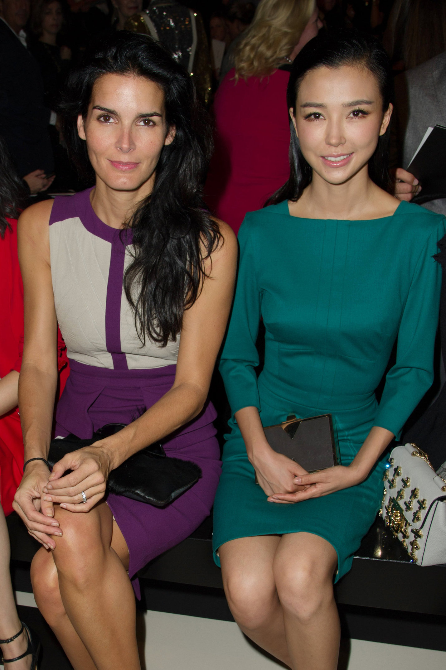 Angie Harmon Elie Saab fashion show at Paris Fashion Week  Sep. 30, 2013 