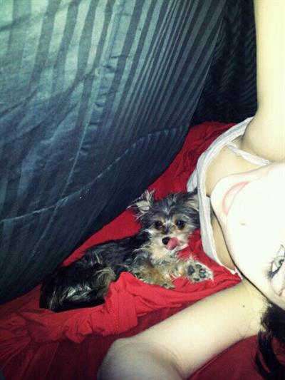 Neon Lynxie taking a selfie