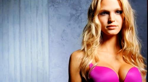 Erin Heatherton in lingerie
