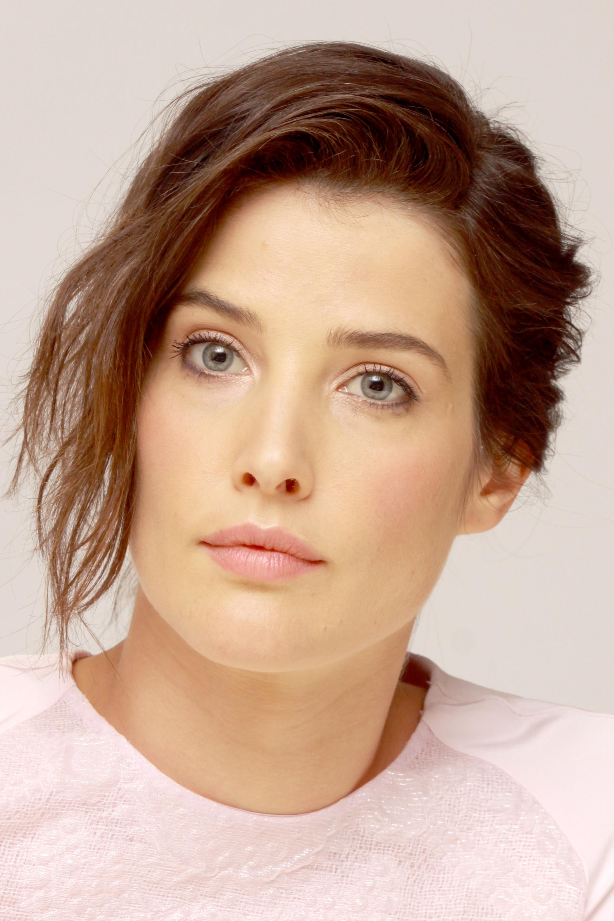 Cobie Smulders  Delivery Man  press conference 2013-11-01 