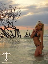 Dennii Nicole in a bikini