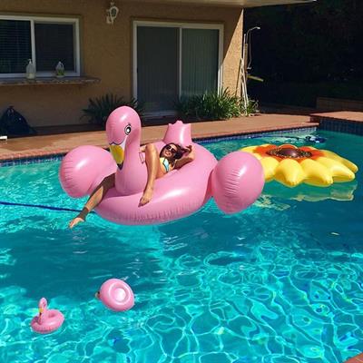 Sierra Dallas in a bikini