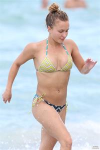 Hayden Panettiere - Bikini candids in Miami 9/1/13