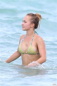 Hayden Panettiere Bikini Pictures Hayden Panettiere - Bikini candids in Miami 9/1/13