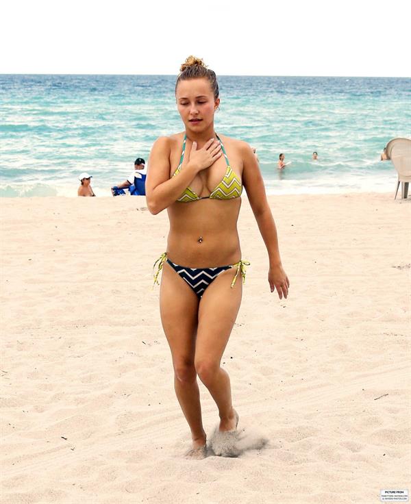 Hayden Panettiere - Bikini candids in Miami 9/1/13