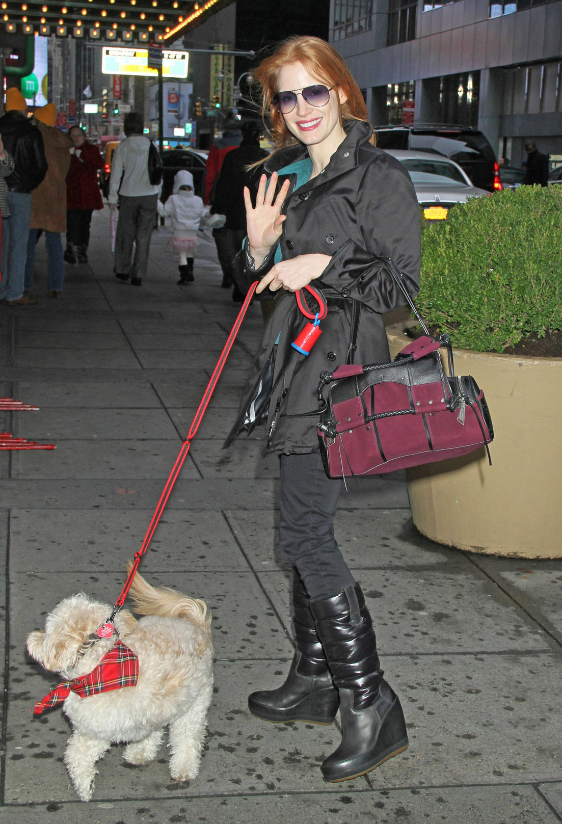Jessica Chastain Pictures Jessica Chastain with her dog Chaplin arriving to the Walter Kerr Theatre in New York City December 27, 2012