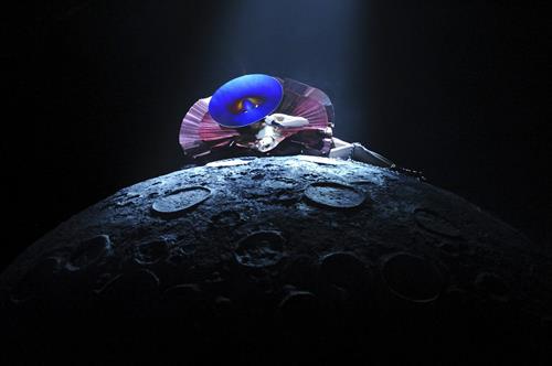 Lady Gaga - 2011 MTV European Music Awards 11/6/11  