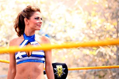 Maria Menounos WWE SummerSlam 2013 in LA 8/18/13 