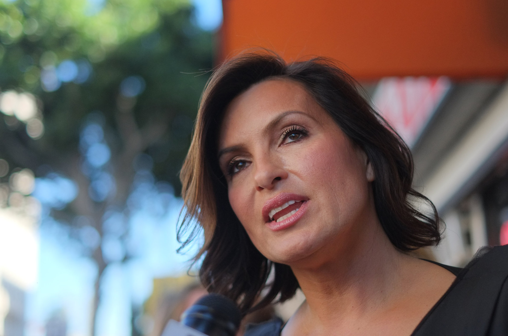 Mariska Hargitay Pictures Mariska Hargitay Honored With Star On The Hollywood Walk Of Fame - Hollywood, Nov. 8, 2013