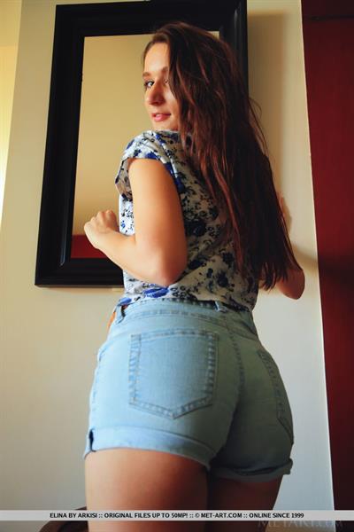 Elina in  Detarce  for MetArt - Elina strips on the couch baring her sexy hips and trimmed pussy.