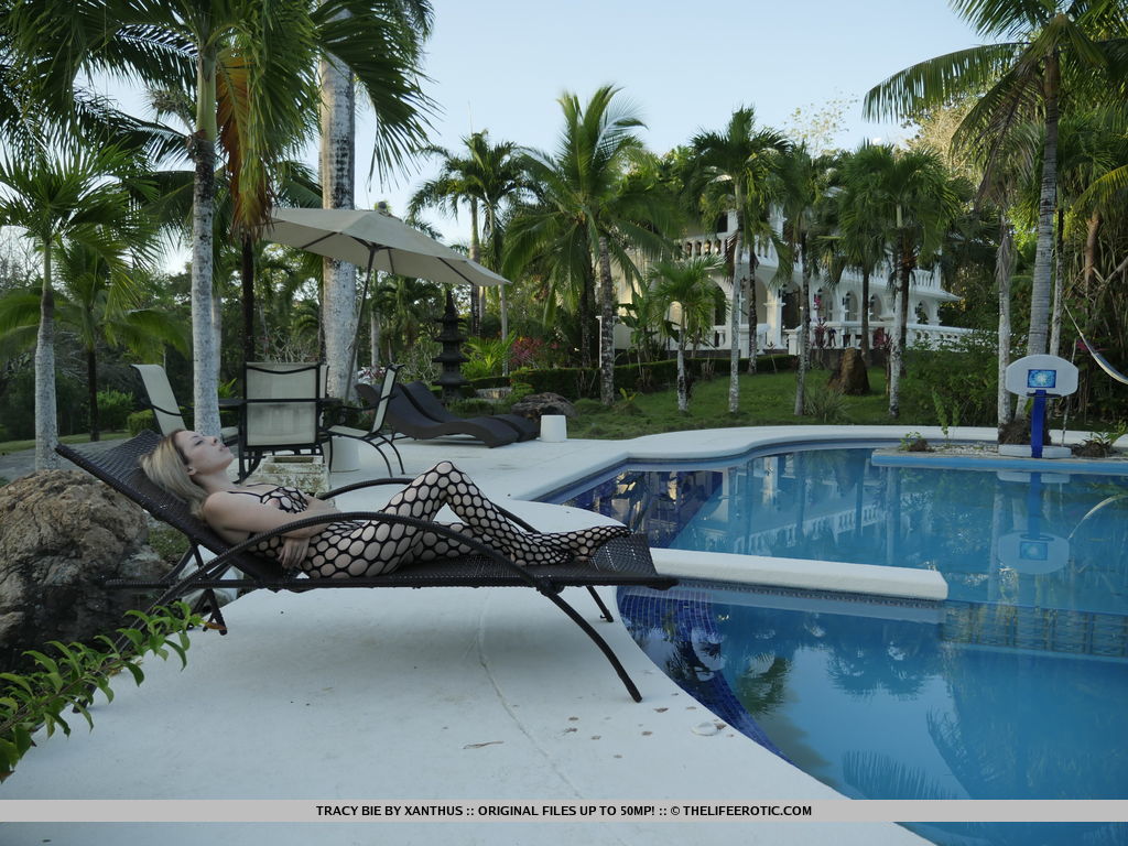 Fishnet lingerie gives Tracy Bie perfect access to her heated pussy -  Paradise 1  for The Life Erotic