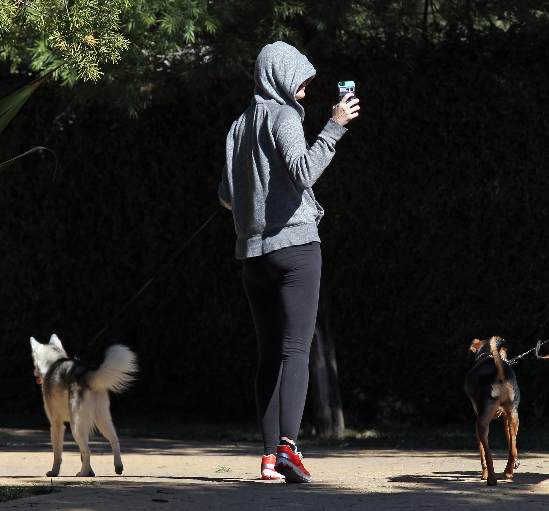 Miley Cyrus walking her dog in Studio City 1/28/13 
