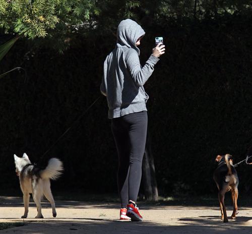 Miley Cyrus walking her dog in Studio City 1/28/13 