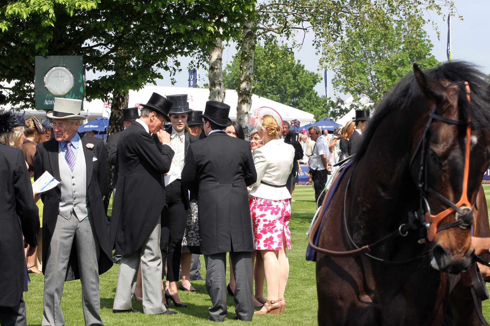 Mischa Barton - Epsom Derby in Epsom, England, June 2, 2012