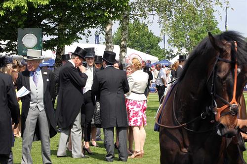 Mischa Barton - Epsom Derby in Epsom, England, June 2, 2012