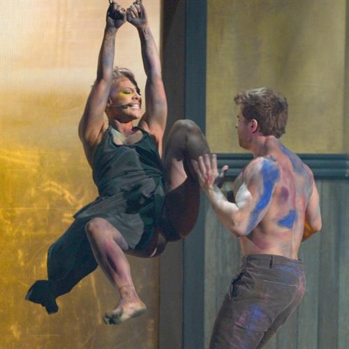 Pink Pictures Pink at American Music Awards (November 18, 2012)