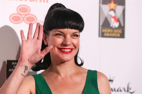 Pauley Perrette The American Humane Association's Hero Dog Awards on October 6, 2012 