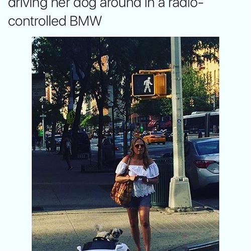 Franchesca del Carpio