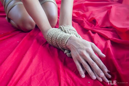 Lesma in  Can't Resist  for The Life Erotic