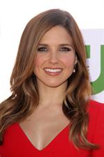 Sophia Bush arrives at the 2012 TCA Summer Tour - CBS, Showtime And The CW Party at 9900 Wilshire Blvd on July 29, 2012 in Beverly Hills, California