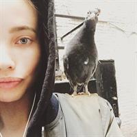 Stephanie Corneliussen Pictures Stephanie Corneliussen