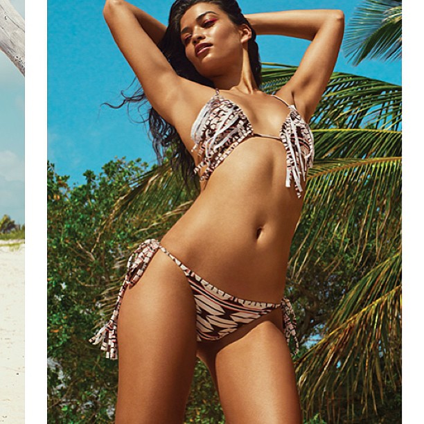 Shanina Shaik in a bikini